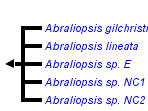 taxon links