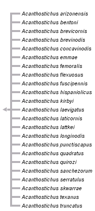 taxon links