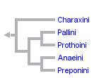 taxon links