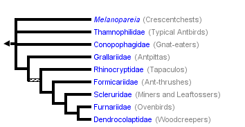 taxon links