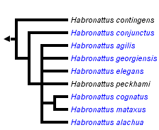 taxon links