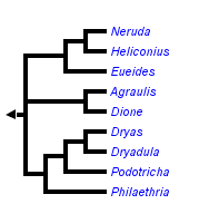 taxon links