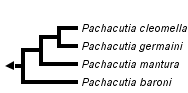 taxon links