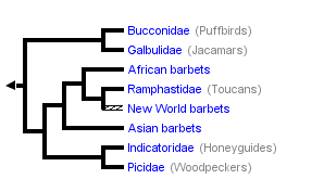 taxon links