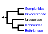 taxon links