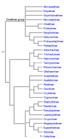 taxon links